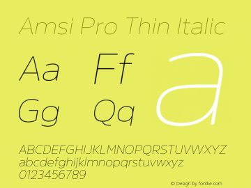 Amsi Pro Thin Italic 2.030图片样张