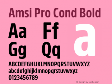 Amsi Pro Cond Bold 2.030图片样张