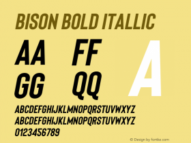 Bison Bold Itallic 1.007图片样张