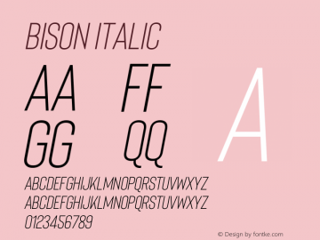 Bison Italic 1.007图片样张