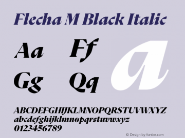 Flecha M Black Italic Version 2.001 | w-rip DC20200410 Font Sample