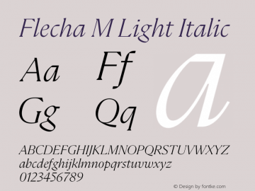 Flecha M Light Italic Version 2.001 | w-rip DC20200410 Font Sample