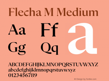 Flecha M Medium Version 2.001 | w-rip DC20200410 Font Sample