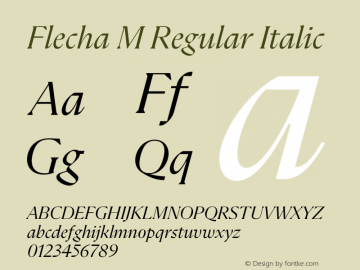 Flecha M Italic Version 2.001 | w-rip DC20200410 Font Sample
