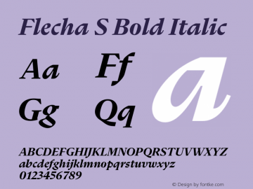 Flecha S Bold Italic Version 2.001 | w-rip DC20200410图片样张