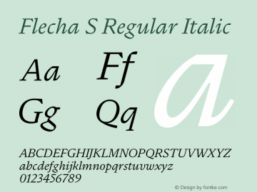 Flecha S Italic Version 2.001 | w-rip DC20200410图片样张