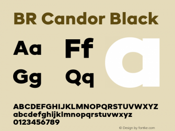 BR Candor Black 1.000图片样张