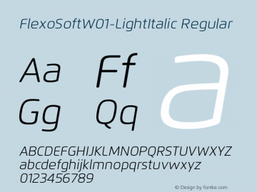 Flexo Soft W01 Light Italic Version 1.07图片样张