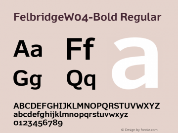 Felbridge W04 Bold Version 1.10图片样张