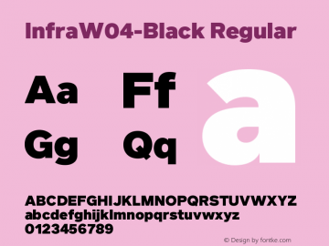 Infra W04 Black Version 1.00图片样张