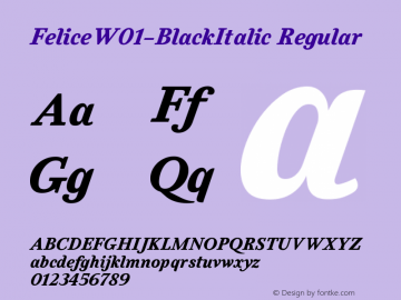 Felice W01 Black Italic Version 1.00 Font Sample