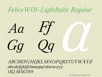 Felice W01 Light Italic Version 1.00图片样张