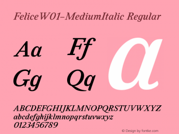 Felice W01 Medium Italic Version 1.00 Font Sample