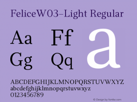 Felice W03 Light Version 1.00图片样张