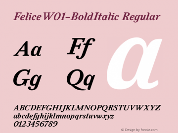 Felice W01 Bold Italic Version 1.00图片样张