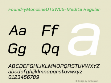 Foundry Monoline OT3 W05 MedIta Version 1.00 Font Sample