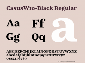 Casus W10 Black Version 7.504 Font Sample