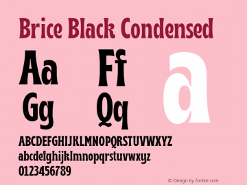 Brice Black Condensed 1.000图片样张