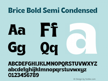 Brice Bold Semi Condensed 1.000图片样张