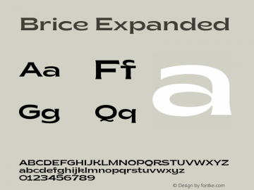 Brice Expanded 1.000图片样张