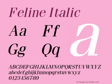 Feline Italic Altsys Fontographer 4.1 2/1/95图片样张