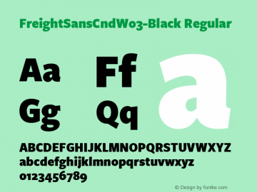 FreightSansCnd W03 Black Version 3.00 Font Sample