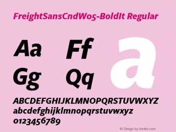 FreightSansCnd W05 Bold Italic Version 3.00图片样张