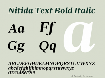 Nitida Text Bold Italic Version 1.000;hotconv 1.0.109;makeotfexe 2.5.65596 Font Sample