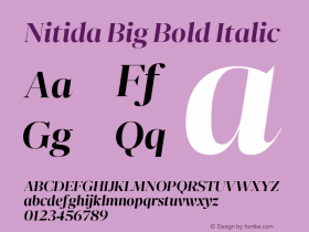 Nitida Big Bold Italic Version 1.000;hotconv 1.0.109;makeotfexe 2.5.65596图片样张