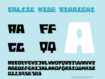 Caltic Wide Straight 1.00 2020 Font Sample