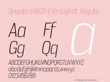 Gnuolane W05 ExtraLight Italic Version 2.20图片样张