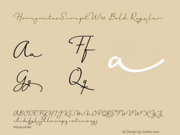 Horizontes Script W05 Bold Version 1.00图片样张