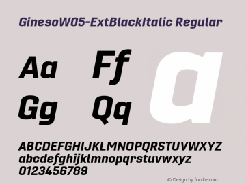 Gineso W05 Ext Black Italic Version 1.001图片样张