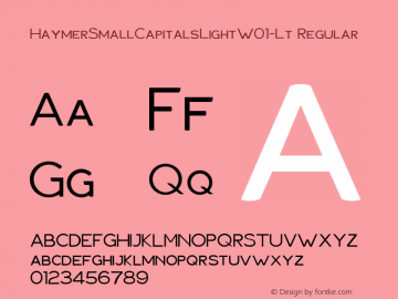 Haymer SmallCapitalsLightW01Lt Version 1.00图片样张