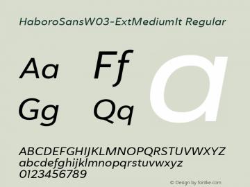 Haboro Sans W03 Ext Medium It Version 1.00 Font Sample