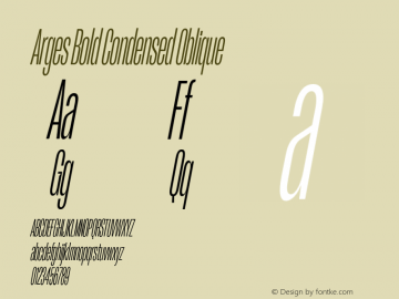 Arges Bold Condensed Oblique Version 1.000 | w-rip DC20190830图片样张