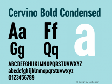 Cervino Bold Condensed 1.000图片样张