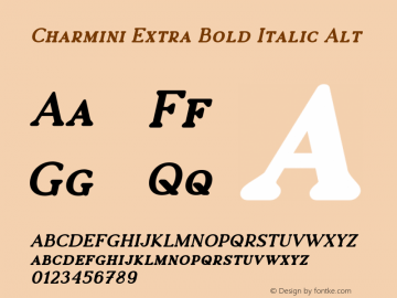 Charmini Extra Bold Italic Alt 001.000图片样张