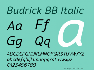 Budrick BB Italic 1.000 Font Sample