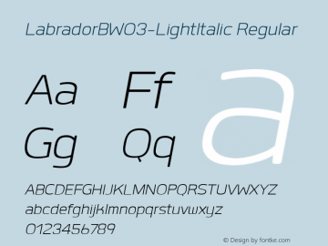 Labrador B W03 Light Italic Version 1.00图片样张