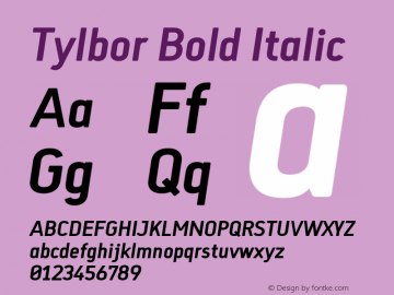 Tylbor Bold Italic Version 1.000;PS 001.000;hotconv 1.0.88;makeotf.lib2.5.64775 Font Sample