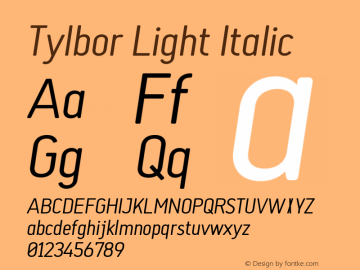 Tylbor Light Italic Version 1.000;PS 001.000;hotconv 1.0.88;makeotf.lib2.5.64775 Font Sample