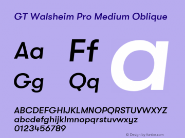 GT Walsheim Pro Medium Oblique Version 2.001;PS 002.001;hotconv 1.0.88;makeotf.lib2.5.64775 Font Sample