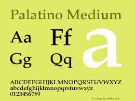 Palatino Medium Version 001.000图片样张