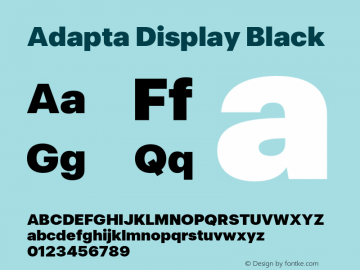AdaptaDisplay-Black Version 1.000图片样张