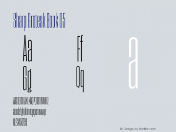 Sharp Grotesk Book 05 Version 1.003图片样张