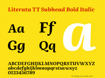 Literata TT Subhead Bold Italic Version 3.002图片样张