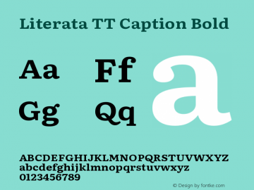 Literata TT Caption Bold Version 3.002 Font Sample