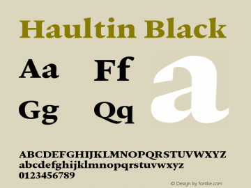 Haultin-Black Version 1.004 | wf-rip DC20190310 Font Sample