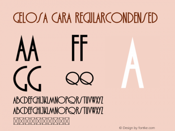 Gelosa Cara RegularCondensed Version 1.019;Fontself Maker 3.5.4图片样张